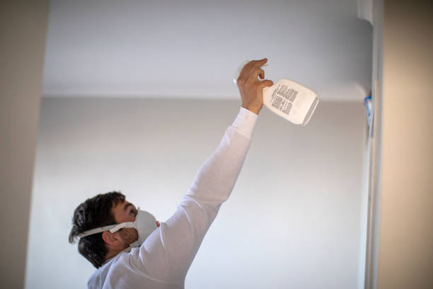 Best Local Mold Removal Service  in Pahoa, HI